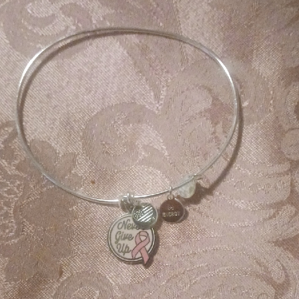 Alex and Ani Silver 'Never Give Up' Charm Bracelet